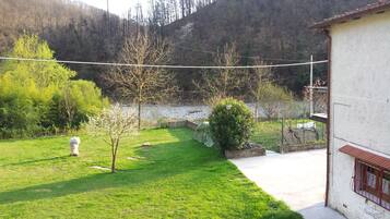Vista del balcón