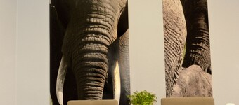 City Center House Elephant
