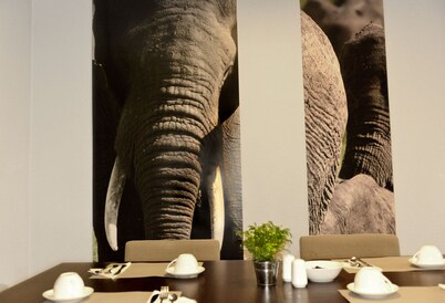 City Center House Elephant