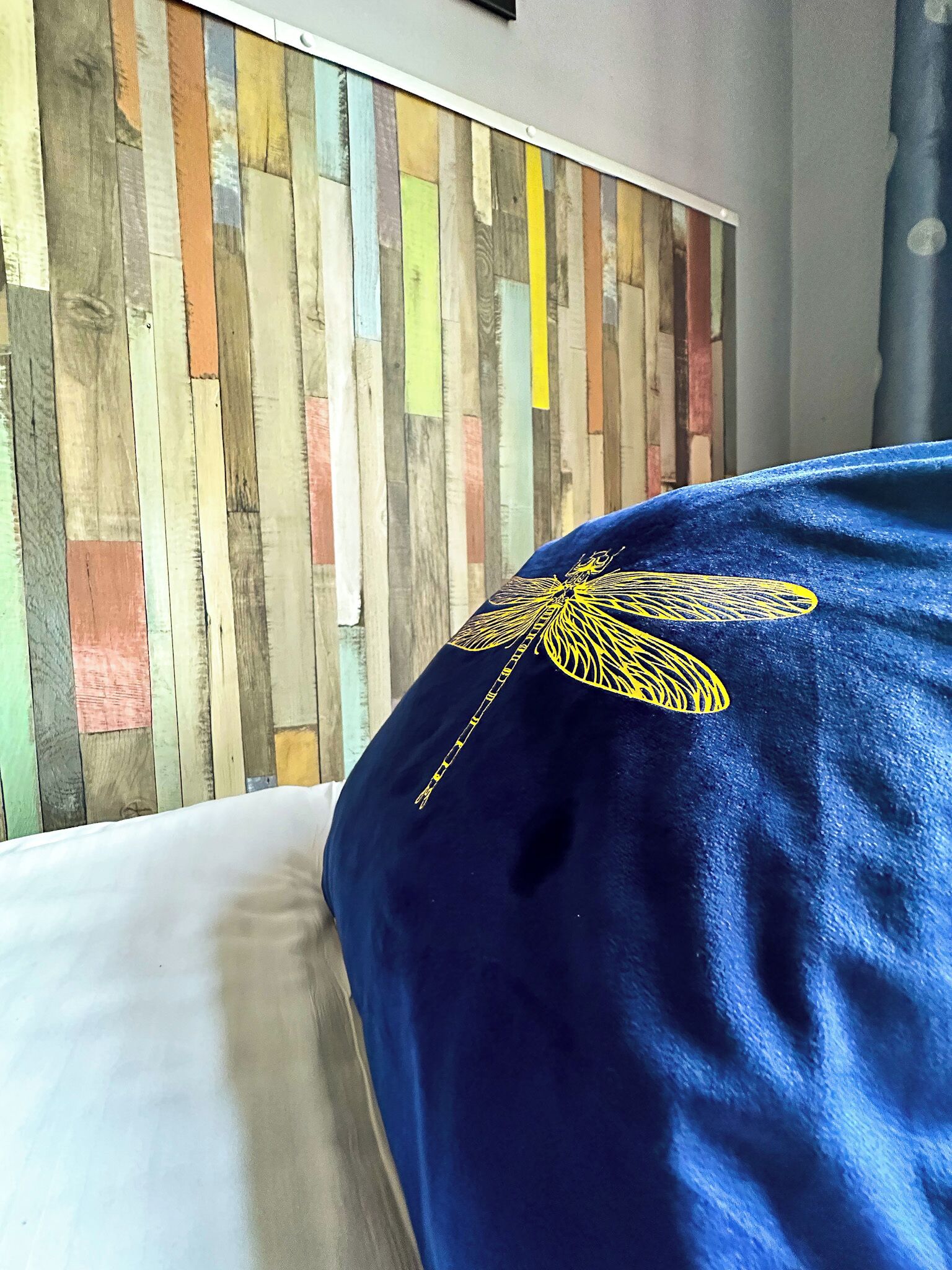 standard room, 2 single beds, shared bathroom | 1 bedroom, premium bedding, down duvets, pillow-top beds