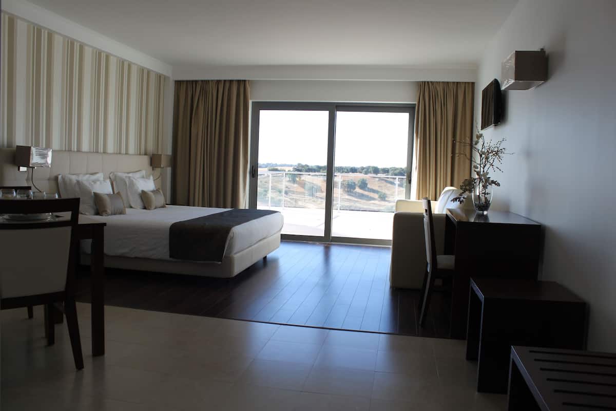Hotelkamer met een bed, bureau, stoel, televisie en uitzicht op de omgeving.
