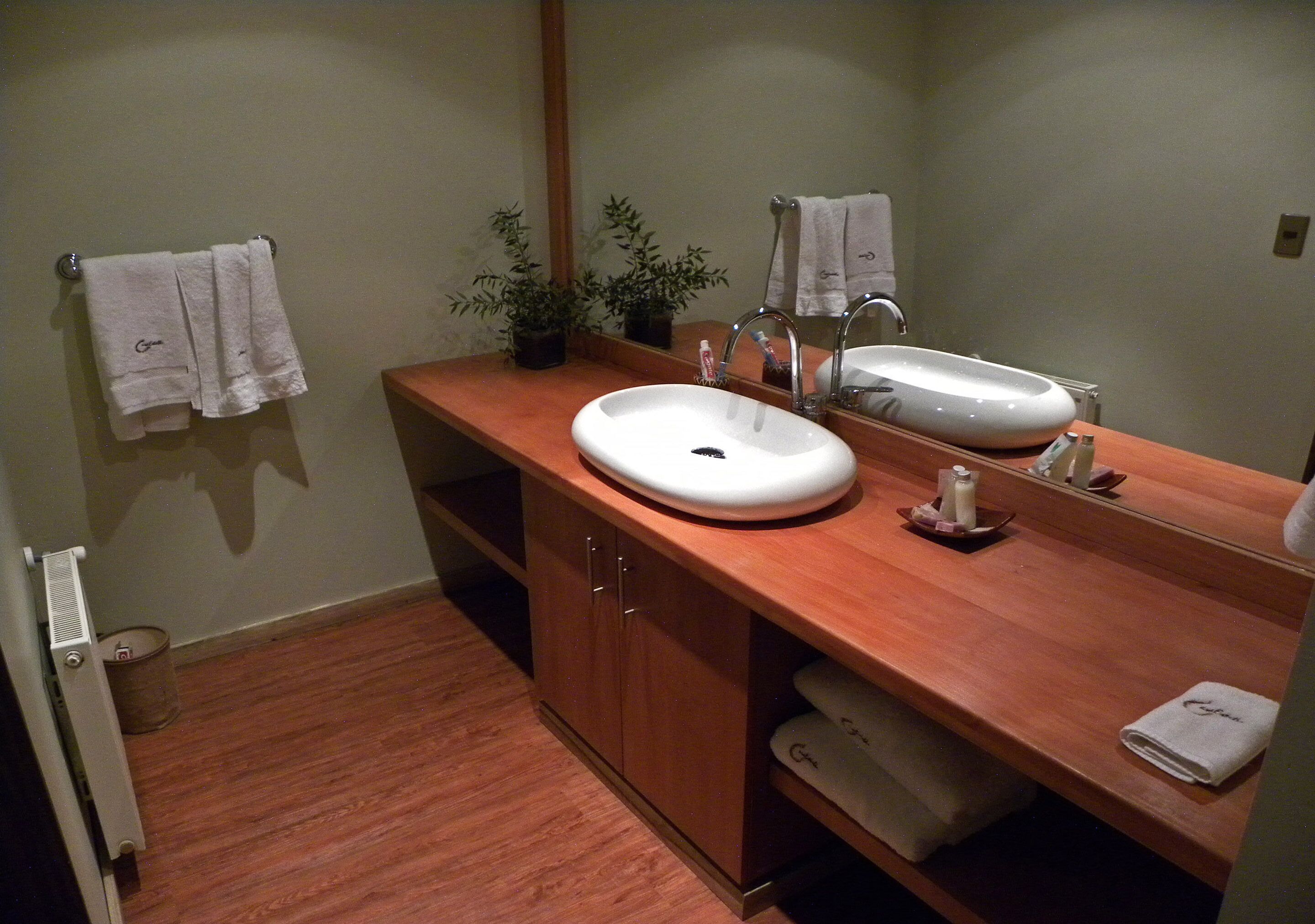 superior double or twin room, lake view | bathroom | shower, free toiletries, hair dryer, towels