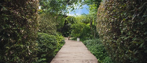 A wooden pathway flanked by dense foliage, leading to a structure in the distance.