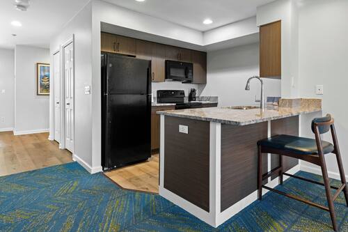 Studio | Private kitchen | Fridge, microwave, oven, stovetop