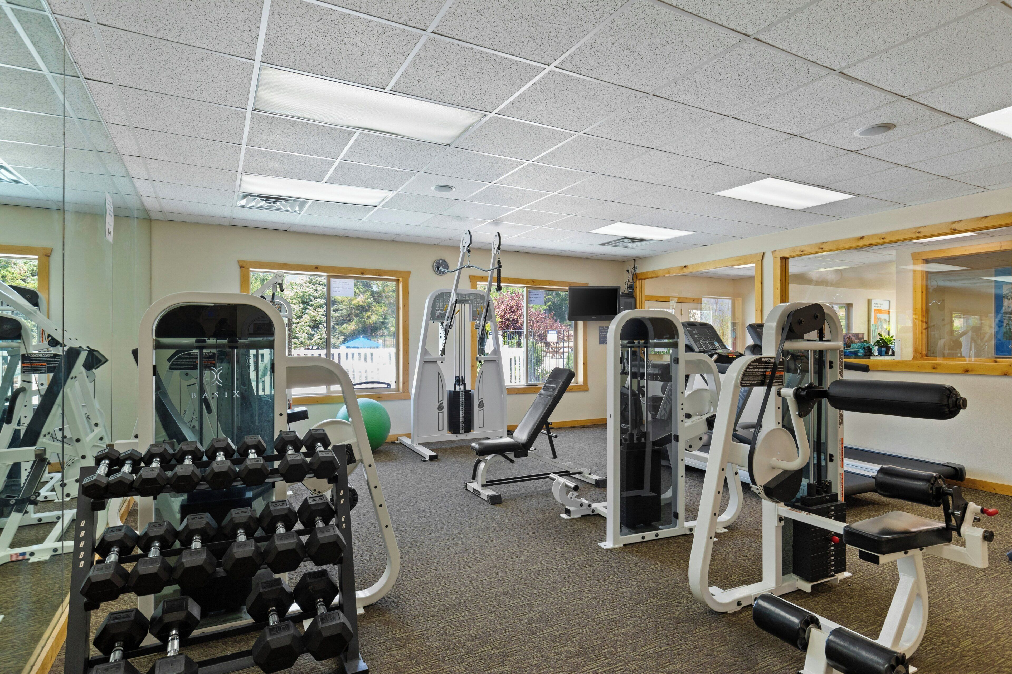 Ein Fitnessstudio mit unterschiedlichen Trainingsgeräten, darunter Kurzhanteln, ein Laufband und Kraftgeräte.