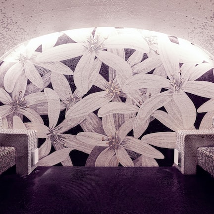 Hot tub, steam room, Turkish bath, body treatments, deep-tissue massages