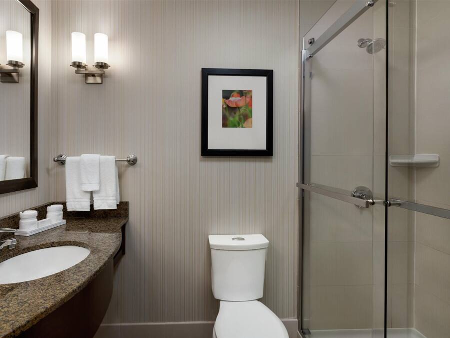 A bathroom with a granite countertop sink, a white toilet, a framed picture on the wall, and a glass shower enclosure.