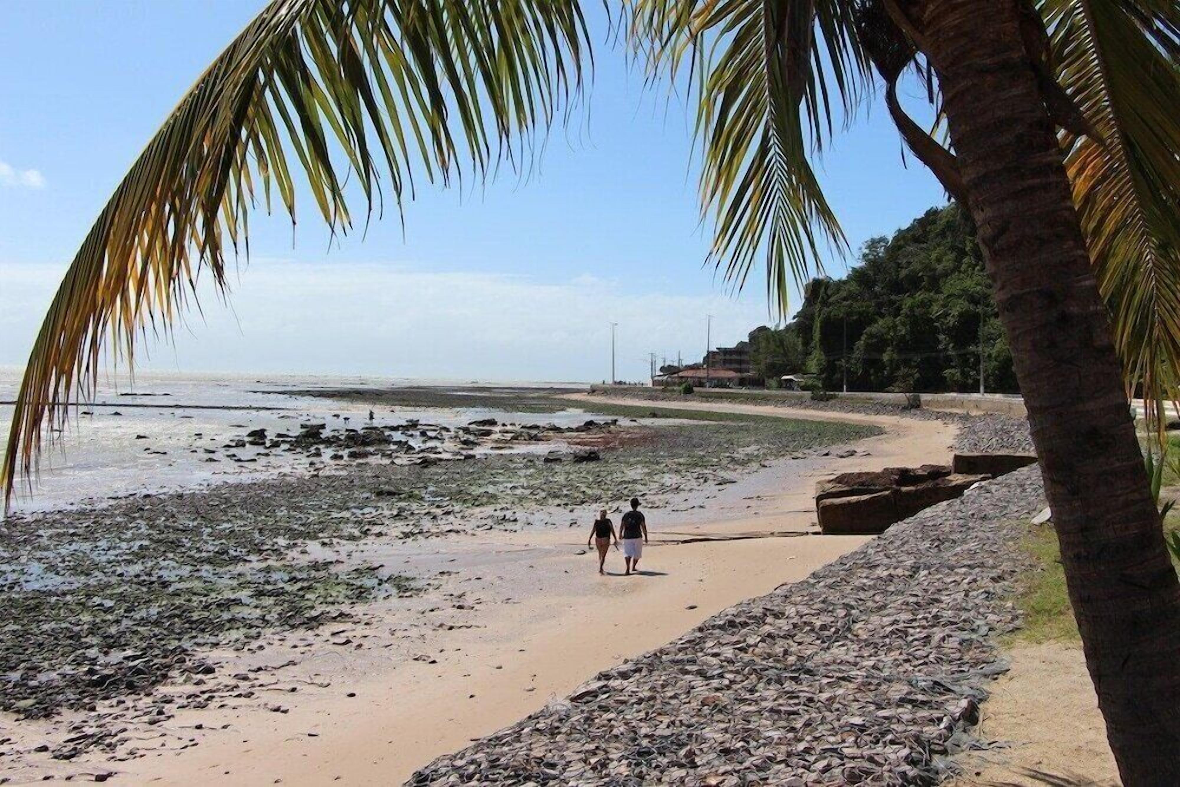 On the beach, sun loungers, beach umbrellas, beach towels