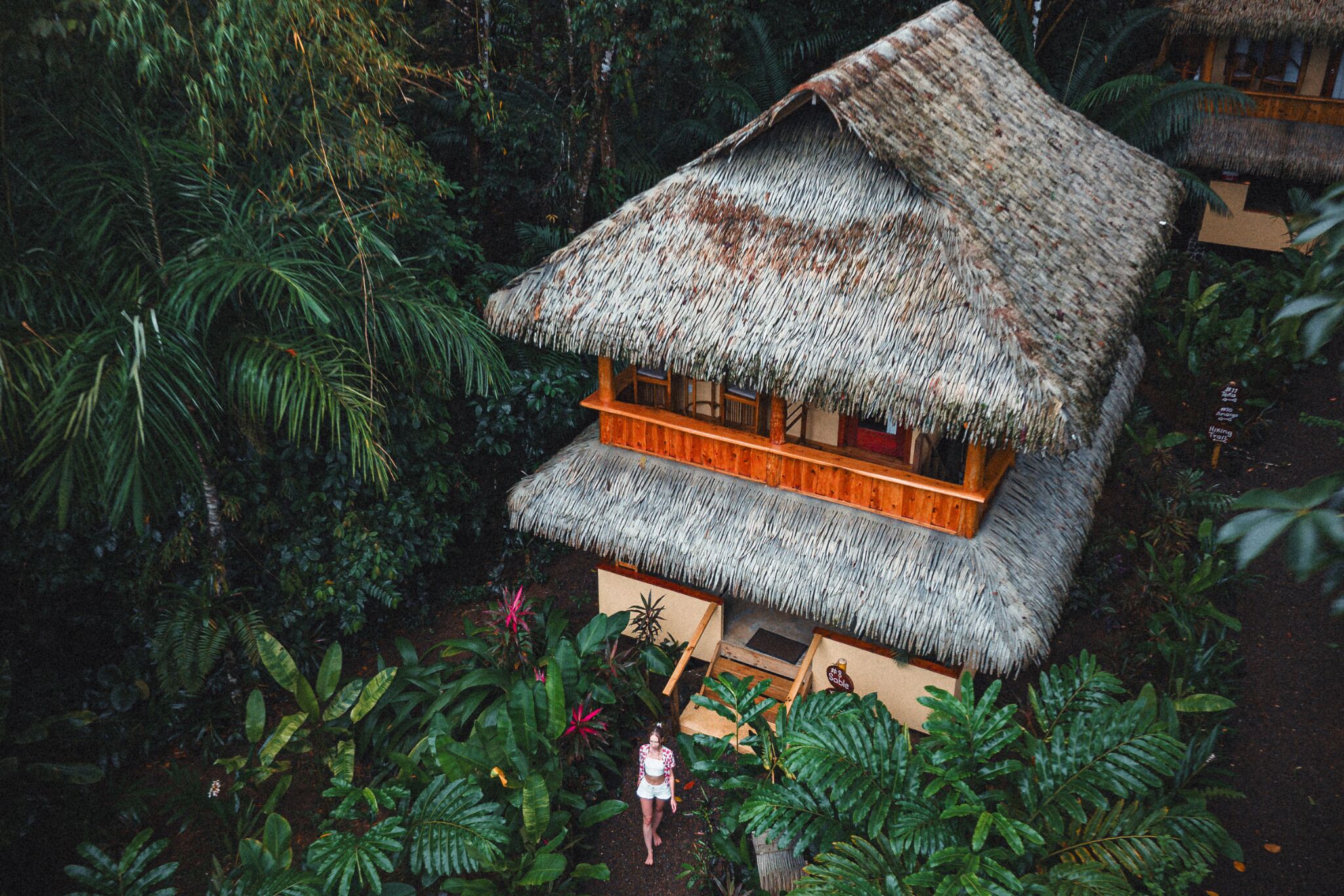 A thatched-roof structure surrounded by dense tropical foliage.