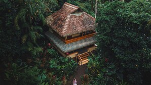 A thatched-roof structure surrounded by dense tropical vegetation.