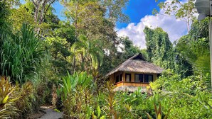 A thatched-roof house surrounded by lush greenery and a gravel path.