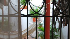 A view through a metal gate of a hammock, potted plants, and a red pillar. - Hotel Del Parque (Santa Marta)