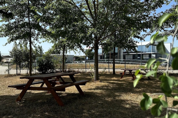 BBQ/picnic area