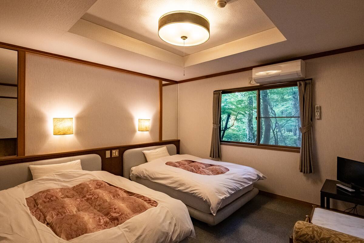 Habitación de hotel con dos camas, una lámpara en el techo, un equipo de aire acondicionado, una ventana con vista a árboles y un televisor sobre una mesita.