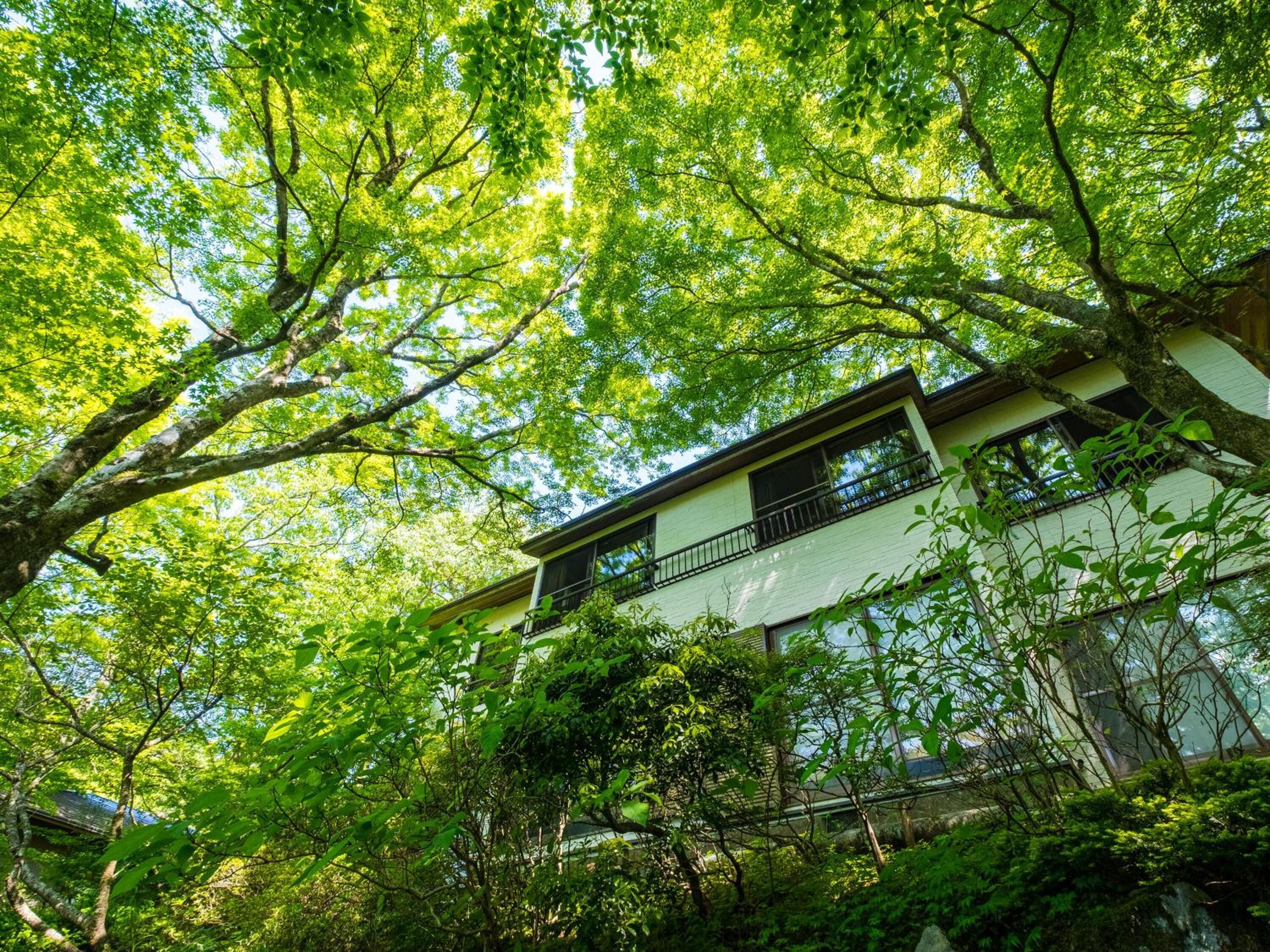 A building surrounded by lush green trees.
