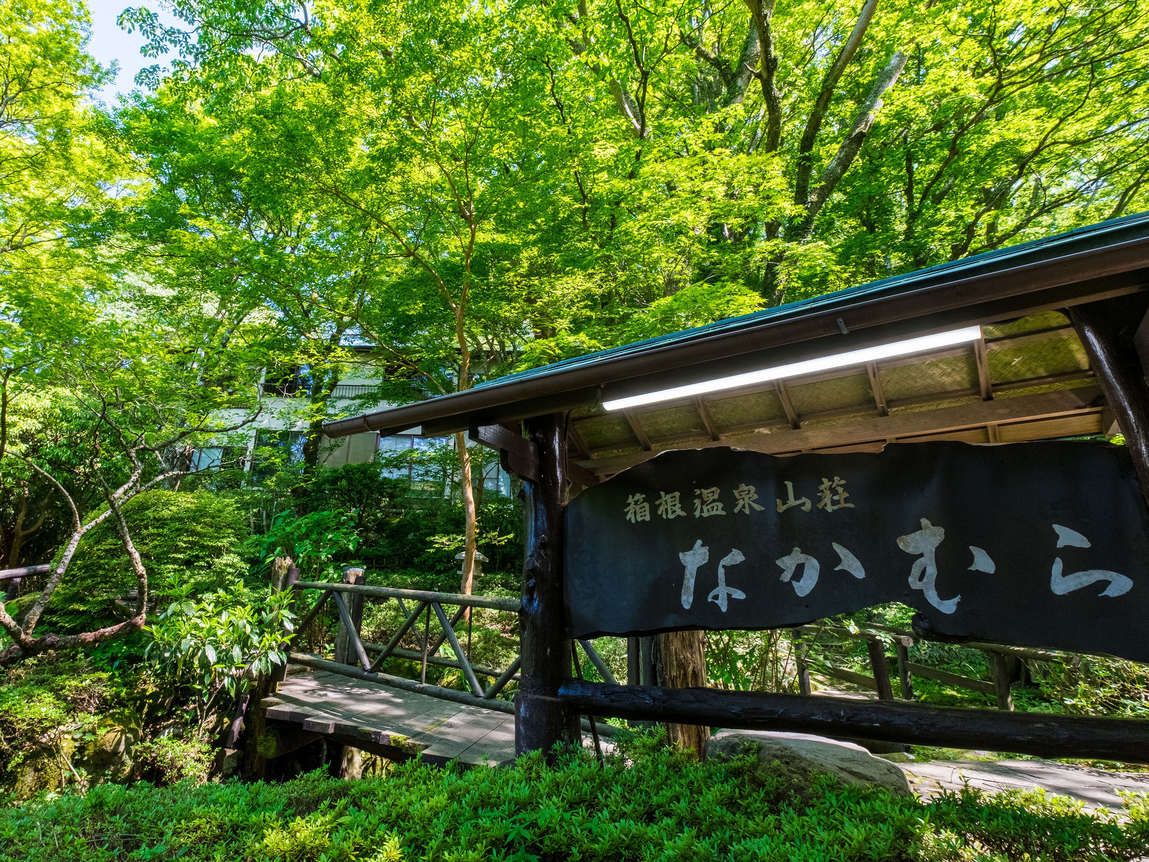 A wooden bridge with a sign in Japanese, surrounded by lush green trees.