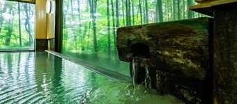 Hakoneonsen Sanso Nakamura