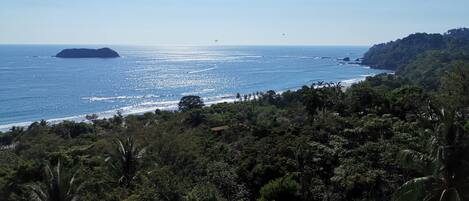 A coastal landscape with dense greenery and a clear view of the ocean.