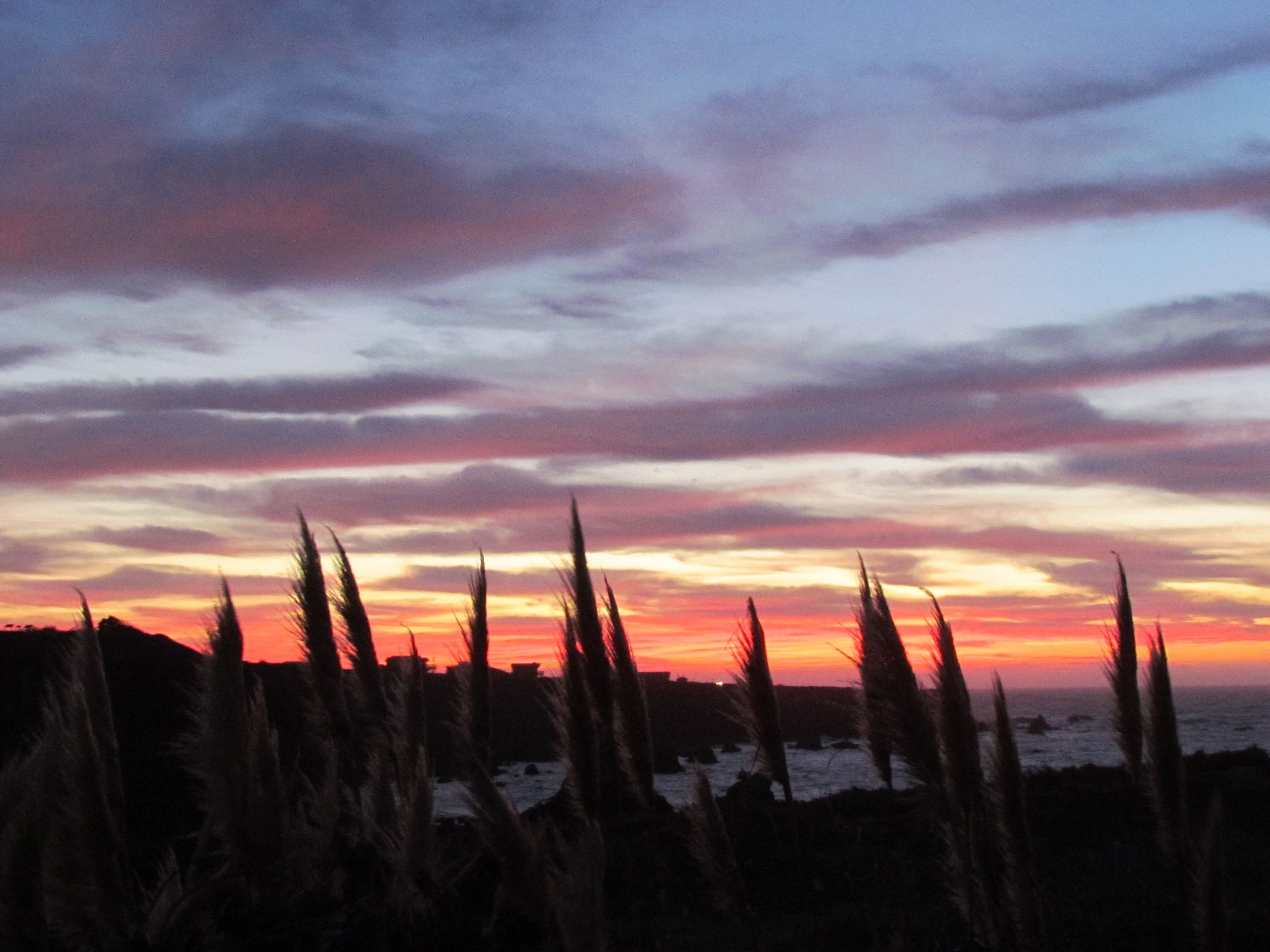 A sunset over a coastal landscape with silhouettes of grass and a distant shoreline.