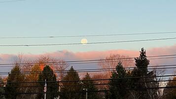 A sunset with a full moon, power lines, and trees.