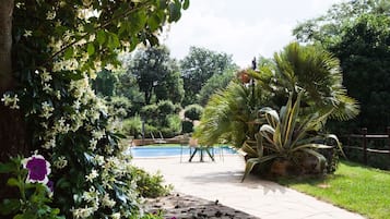 Piscine extérieure, chaises longues