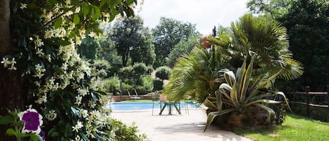 Outdoor pool, sun loungers