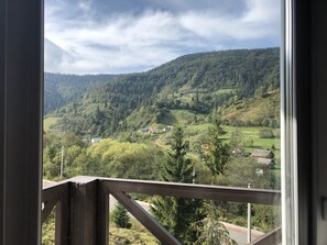 Suite | View from room