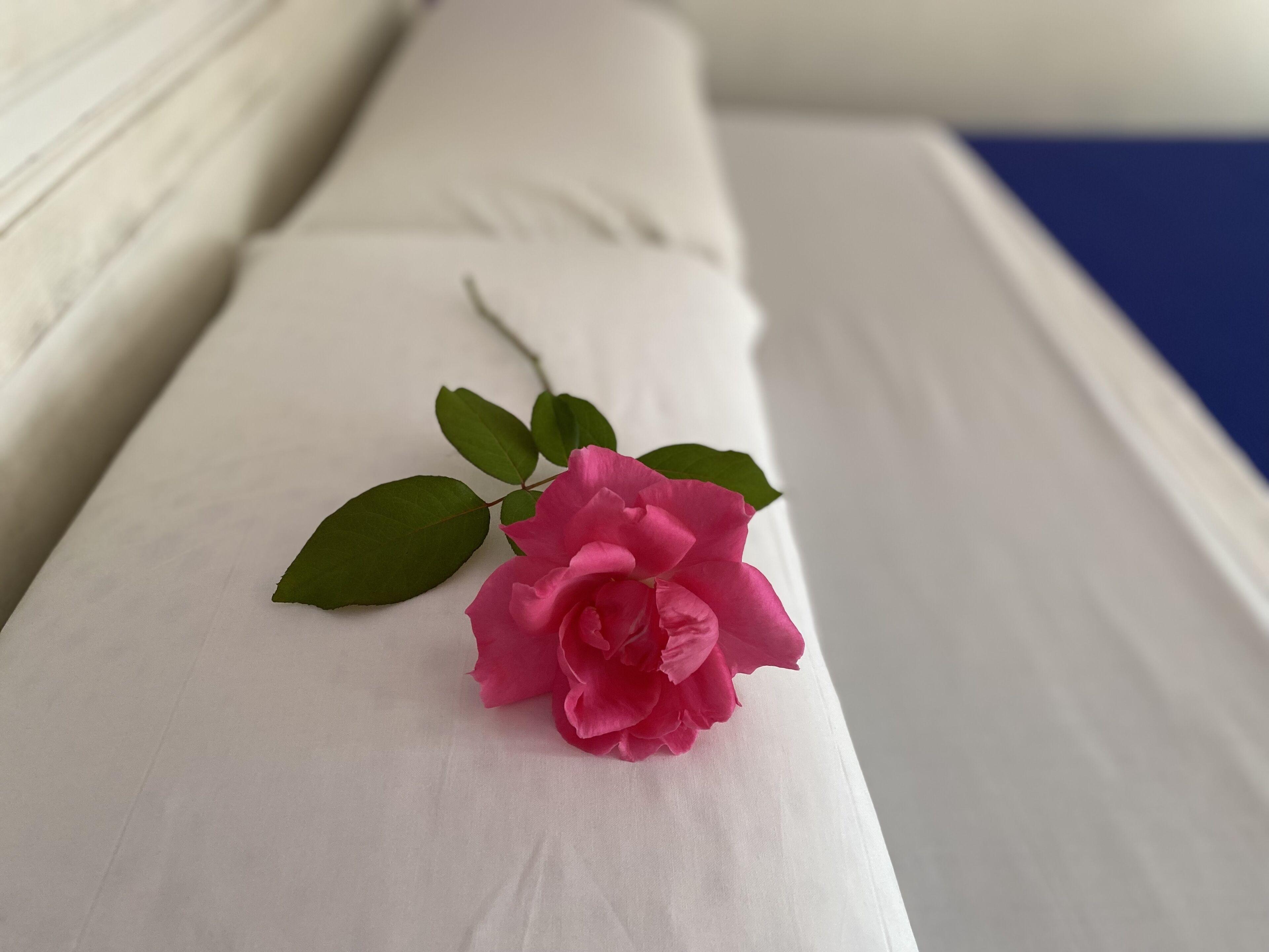 Foto - Hostal Moscatel