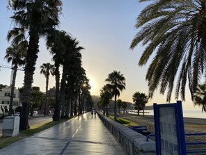 A coastal promenade lined with palm trees and a clear sky. - Hostal Moscatel (Málaga)
