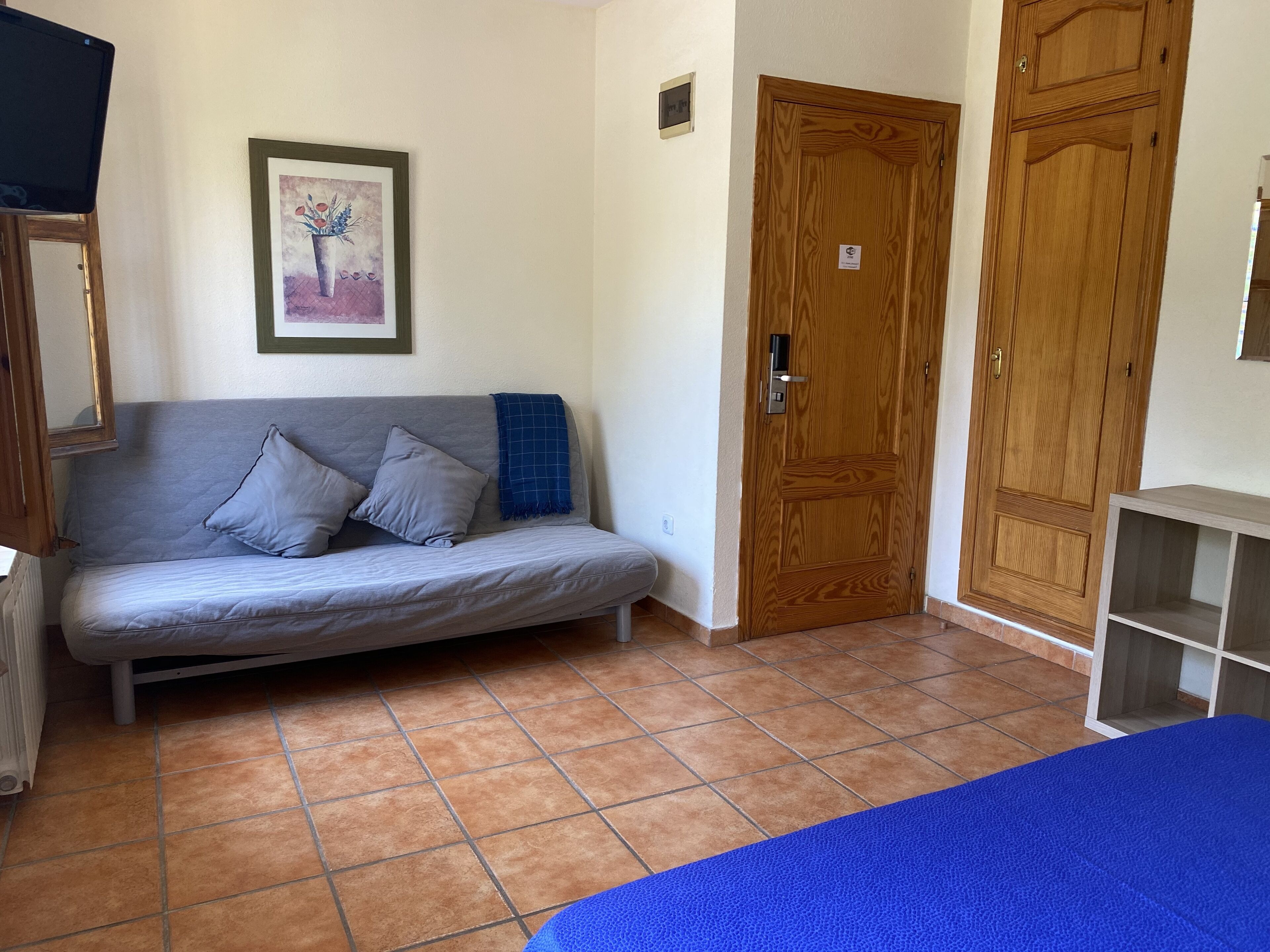 Um quarto com sofá cinzento, manta azul, porta de madeira e um quadro na parede.