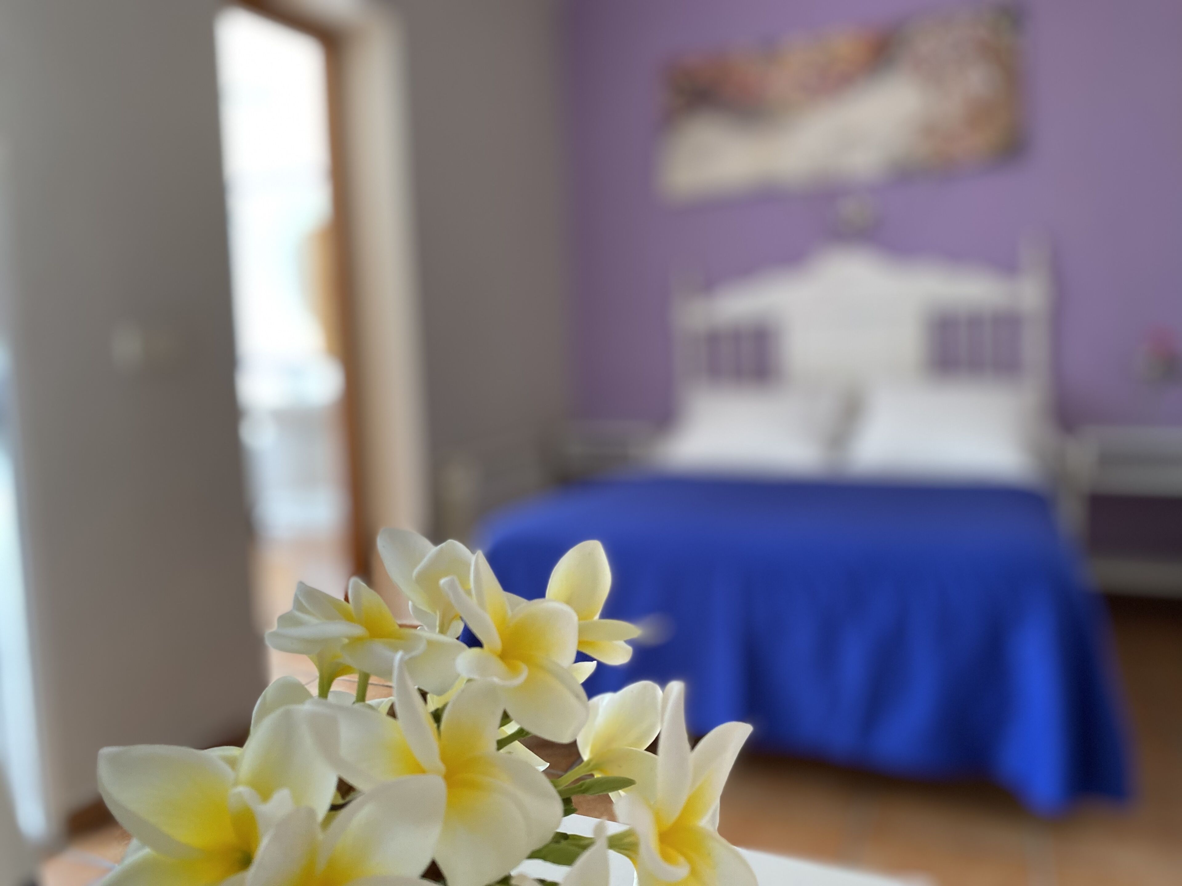 Foto - Hostal Moscatel