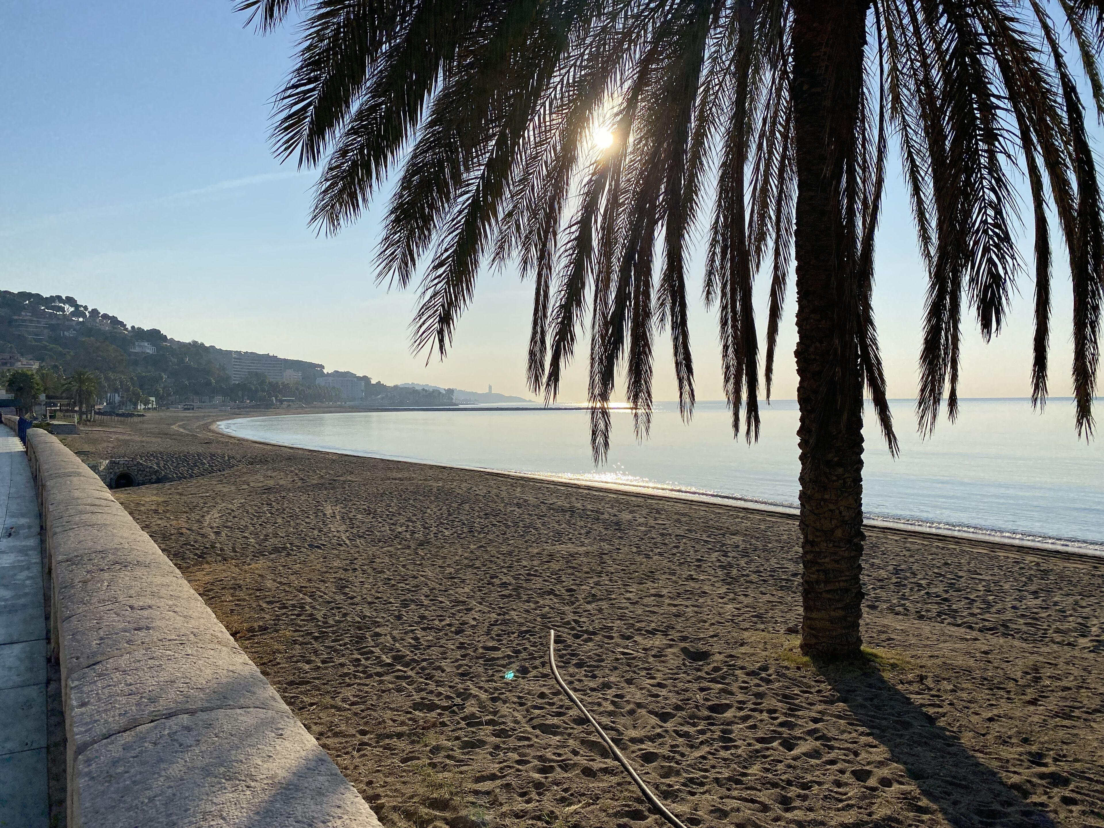 Une plage bordée d’un muret et de palmiers, d’où l’on peut admirer une étendue d’eau calme et des bâtiments situés au loin.