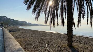 Une plage bordée d’un muret et de palmiers, d’où l’on peut admirer une étendue d’eau calme et des bâtiments situés au loin.