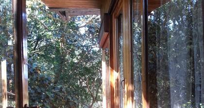 Hotel Forest Dreams Manakin