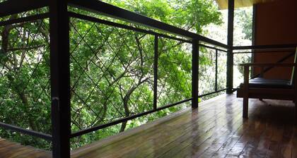 Hotel Forest Dreams Manakin