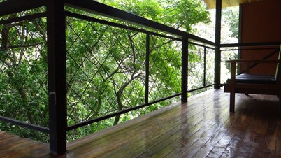 Hotel Forest Dreams Manakin