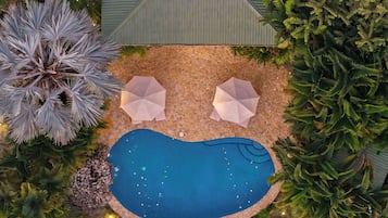 Outdoor pool, pool umbrellas, pool loungers