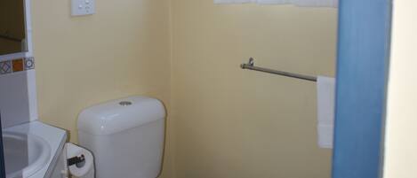 A small bathroom with a toilet, a sink, and a window with a curtain.