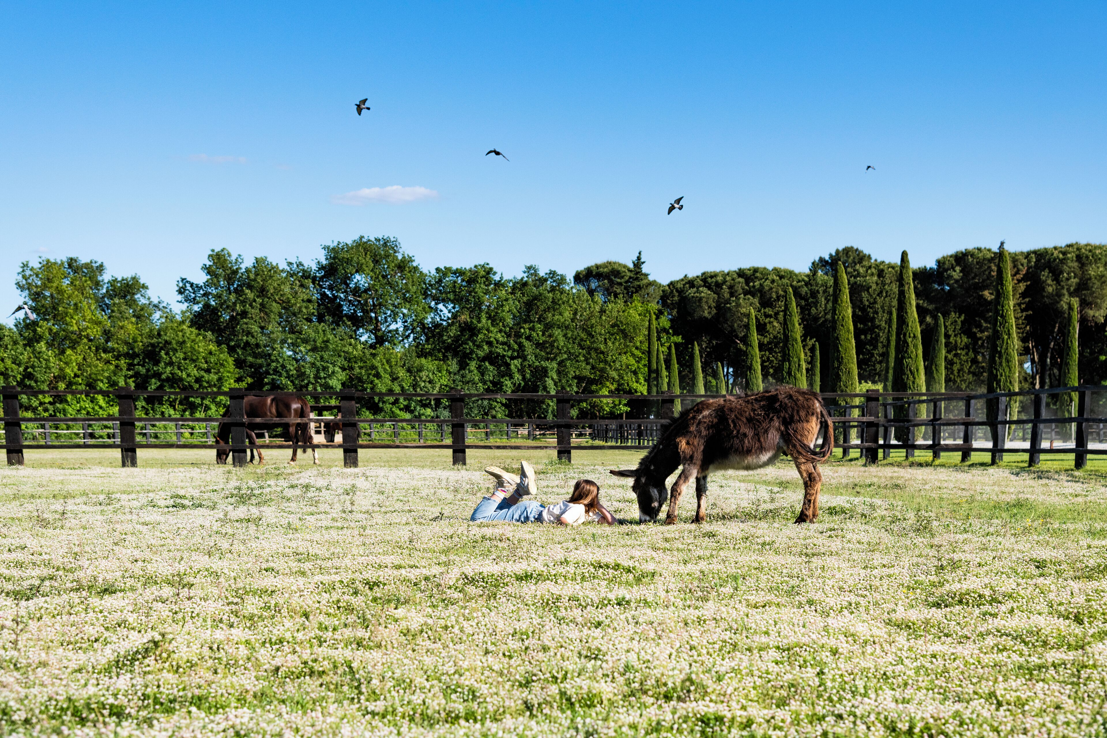Una persona recostada sobre la hierba en un campo, con un caballo y un burro, rodeada de árboles y una cerca.