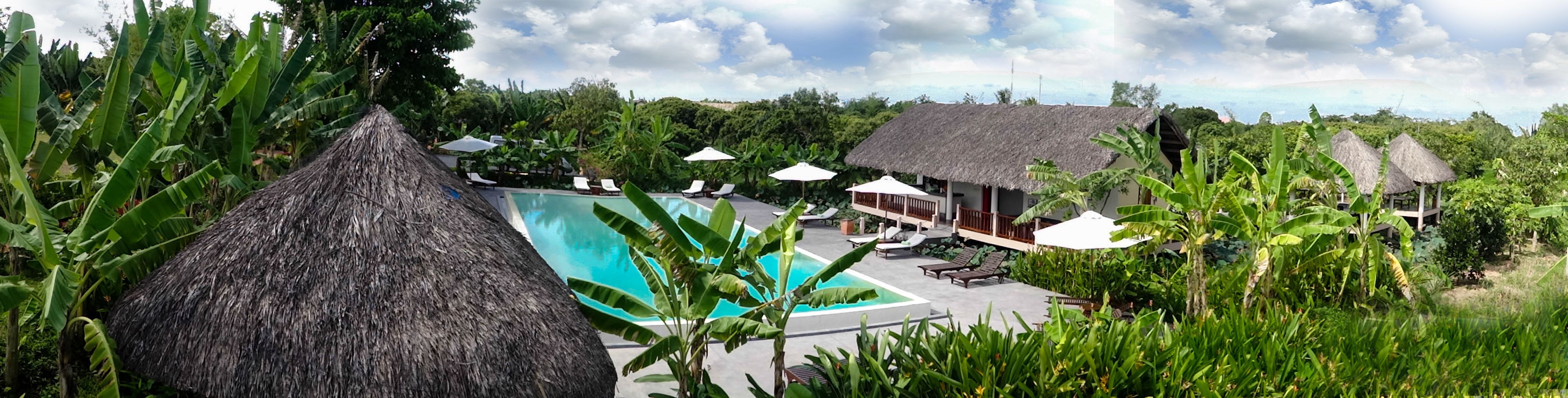 outdoor pool, pool loungers