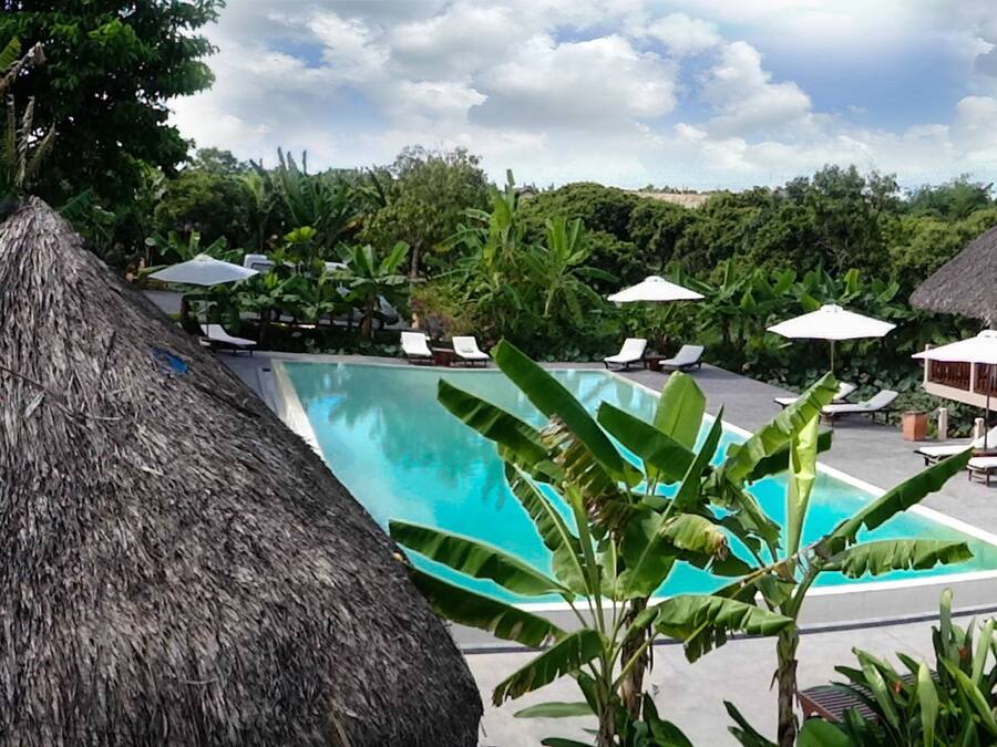 A pool area with lounge chairs and umbrellas, surrounded by lush greenery and thatched-roof structures.