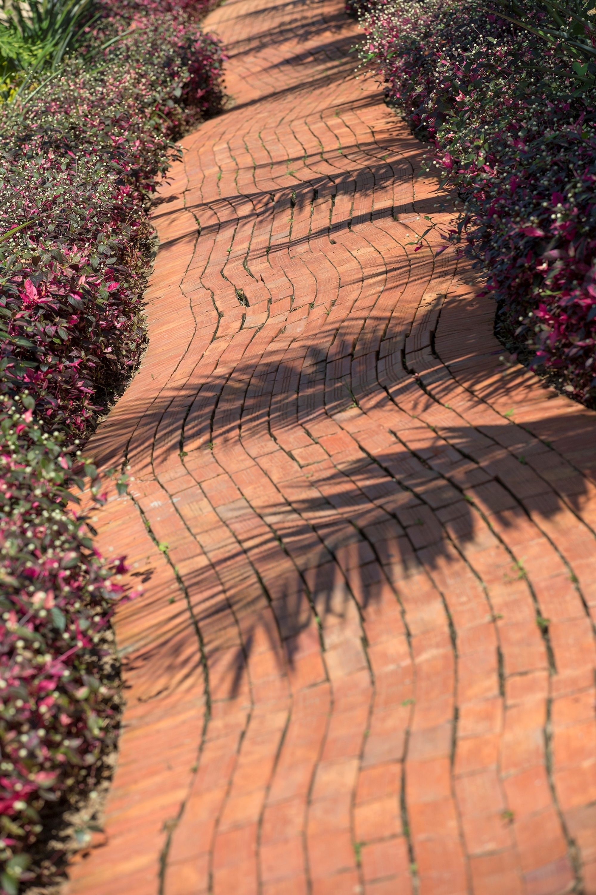 A curved brick pathway bordered by flowering plants.