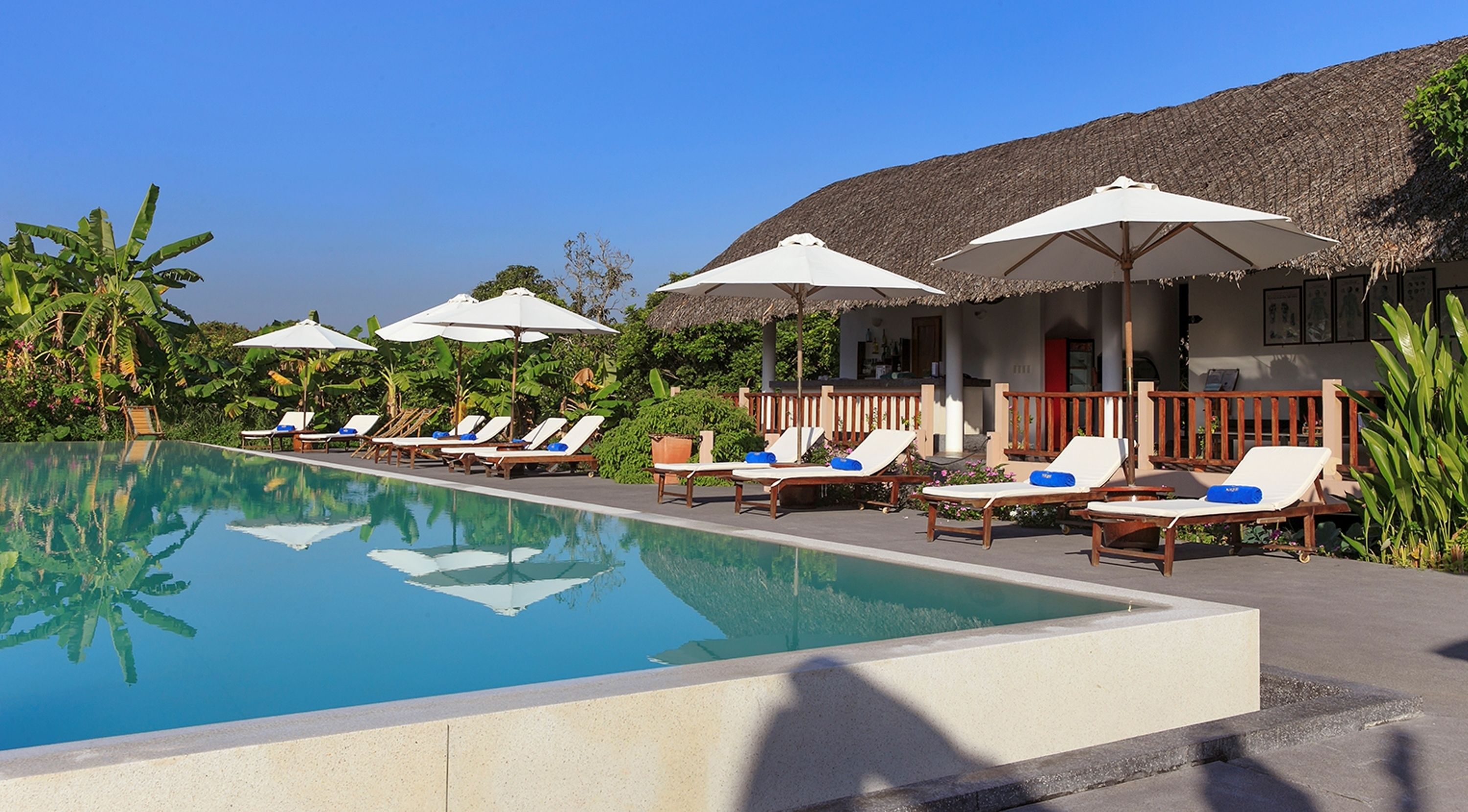 A poolside area with lounge chairs and umbrellas, surrounded by lush greenery and a thatched-roof building.