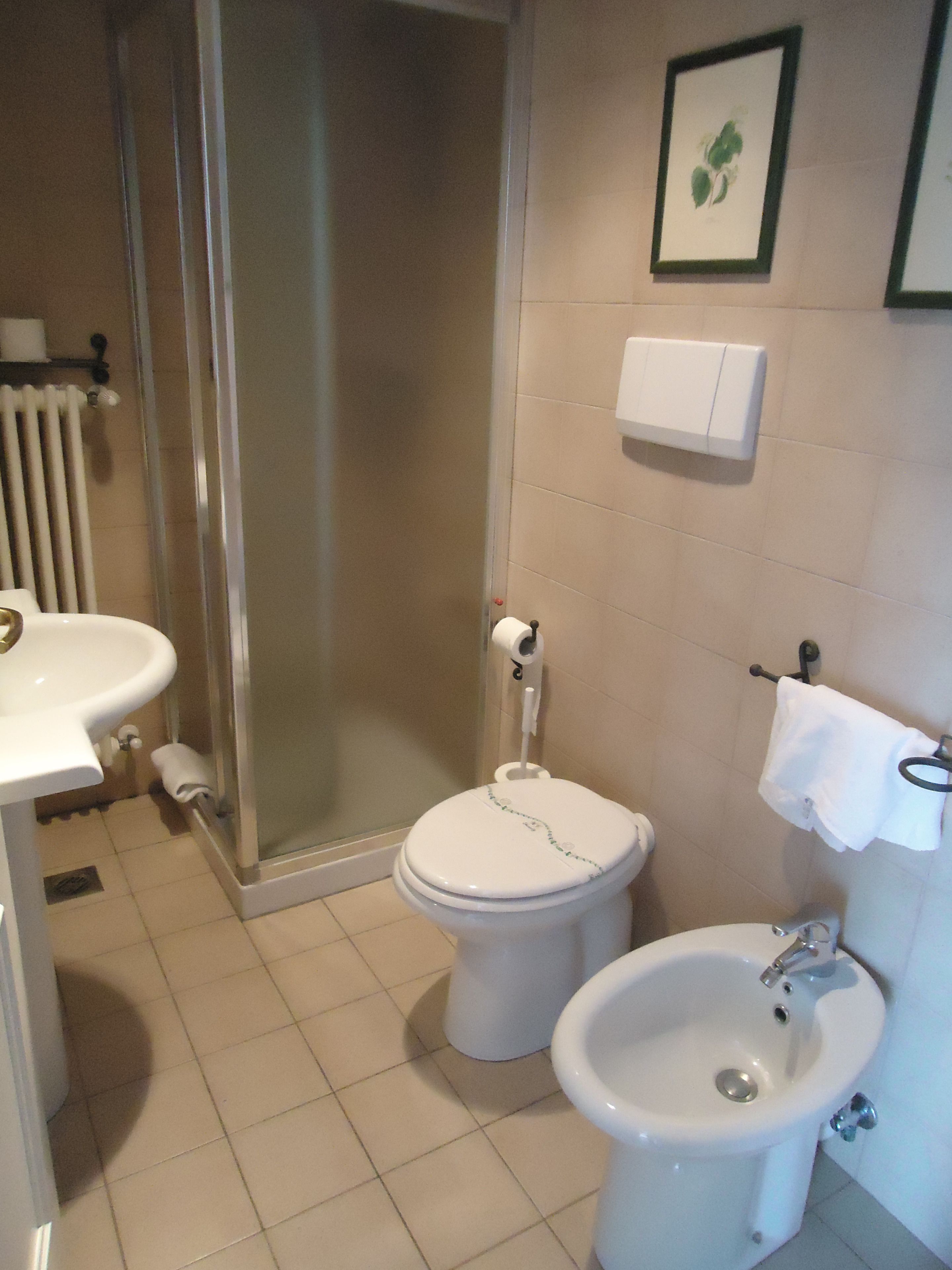 shower, rainfall showerhead, hair dryer, bidet