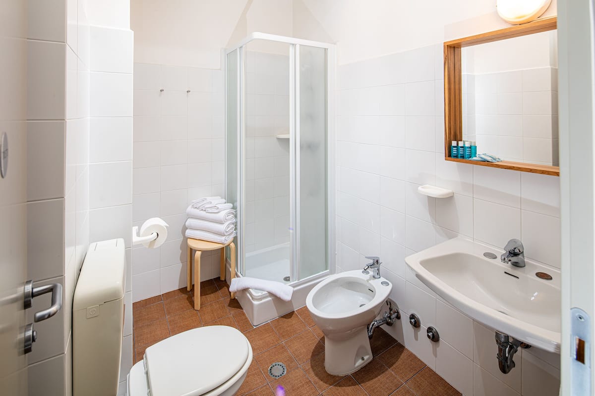 shower, free toiletries, hair dryer, bidet