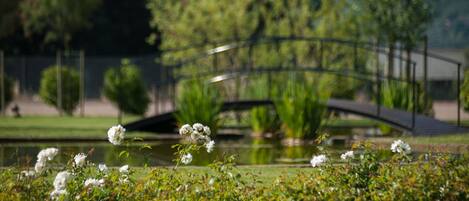A park with a bridge, water, and white flowers.