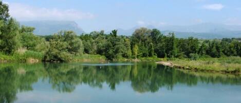 A calm river with dense greenery and distant mountains.