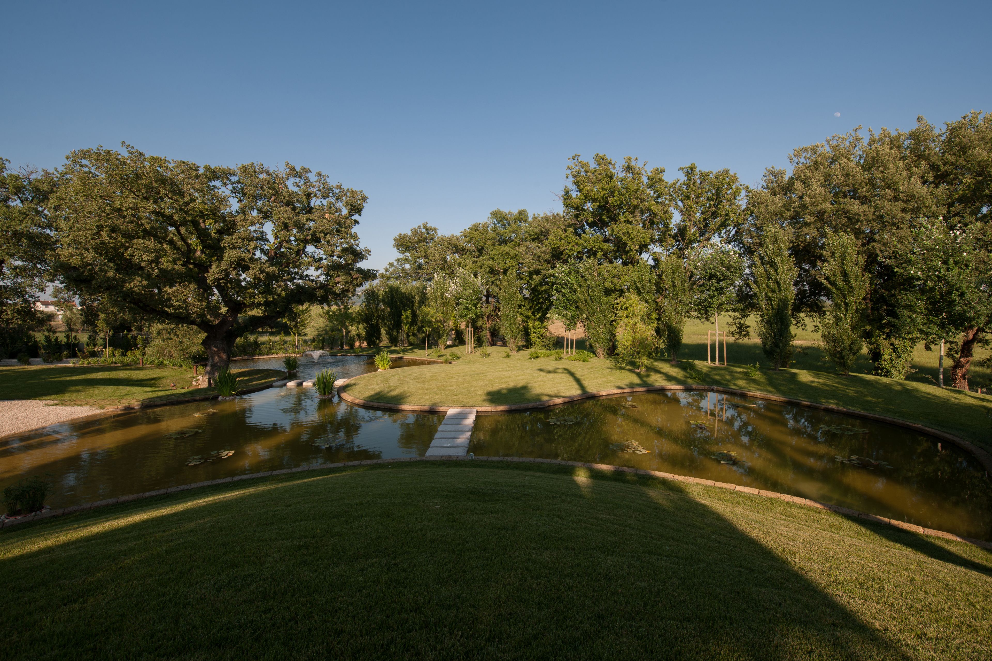 A serene park with a pond, lush greenery, and a clear sky.