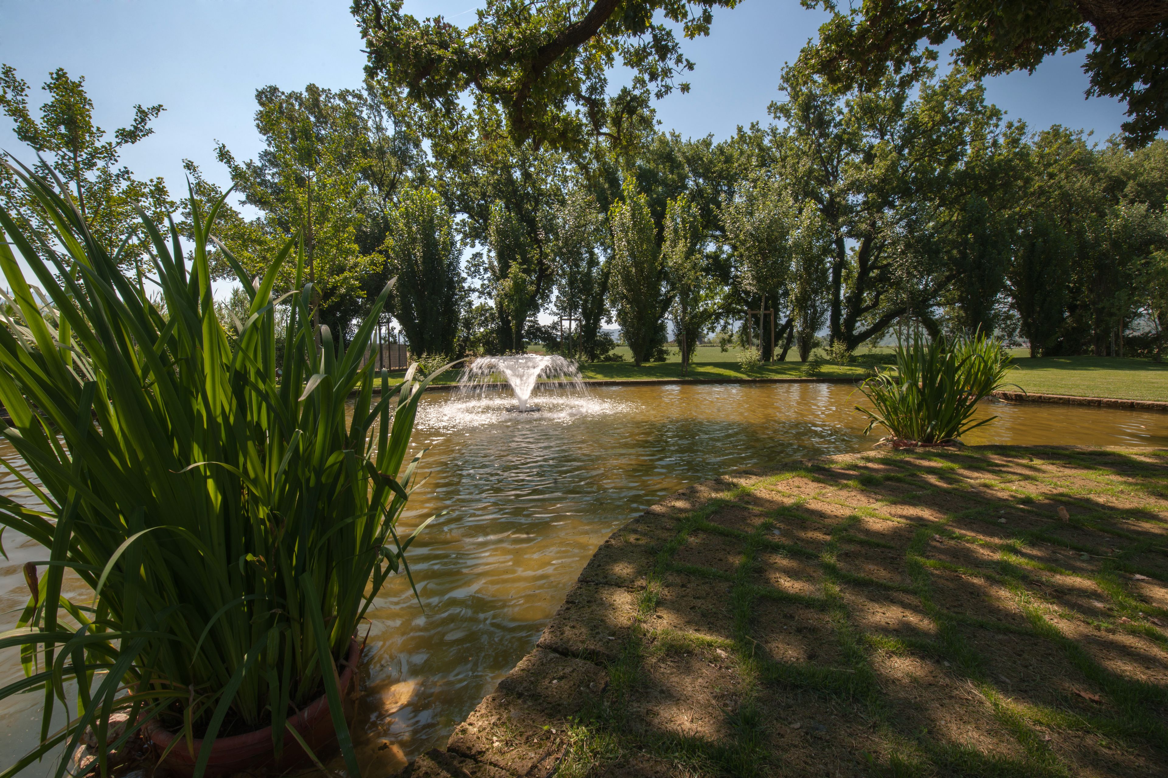 A tranquil pond with a fountain, surrounded by lush greenery and trees.