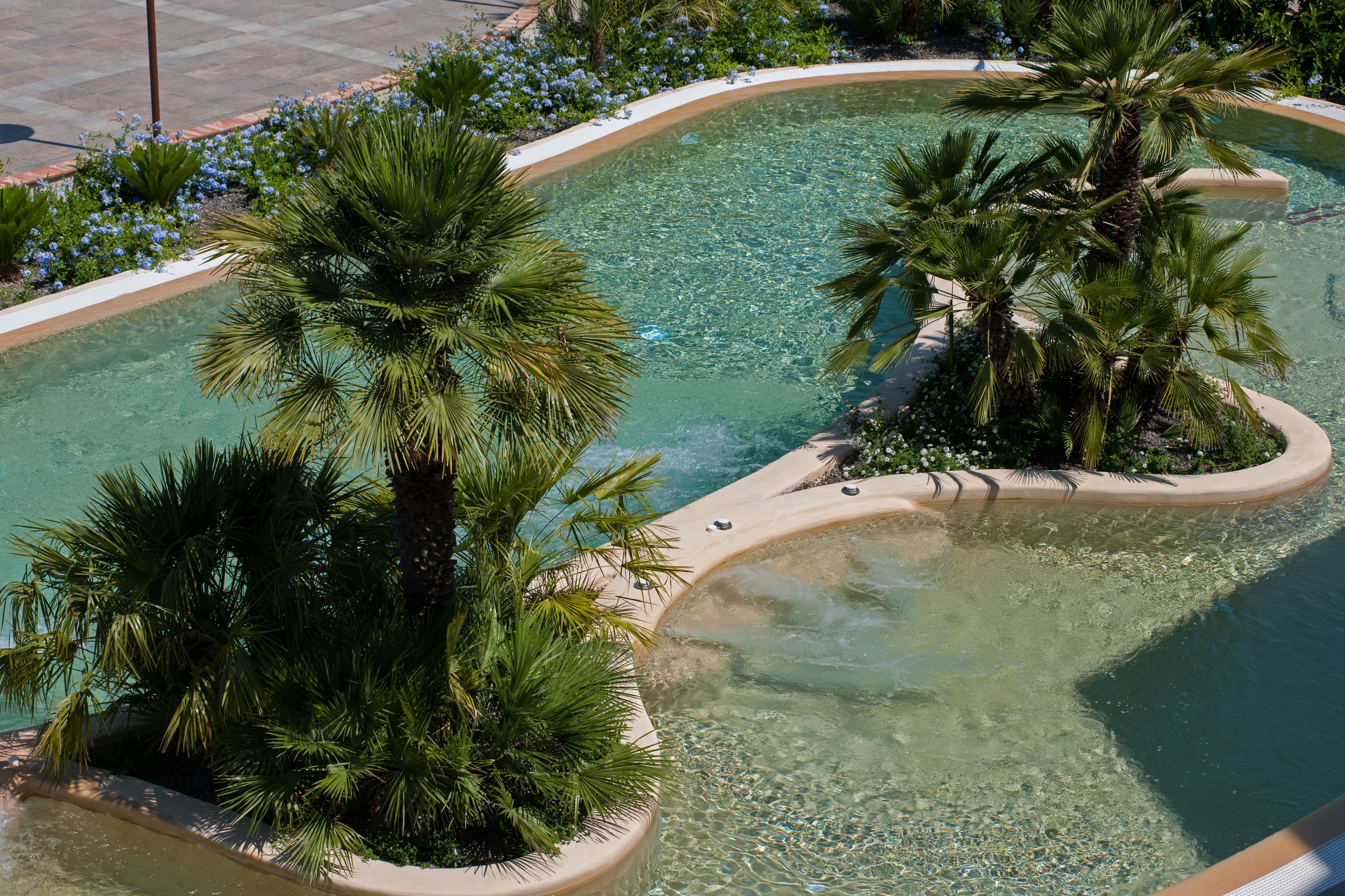 A swimming pool with palm trees and flowers, surrounded by a curved walkway.